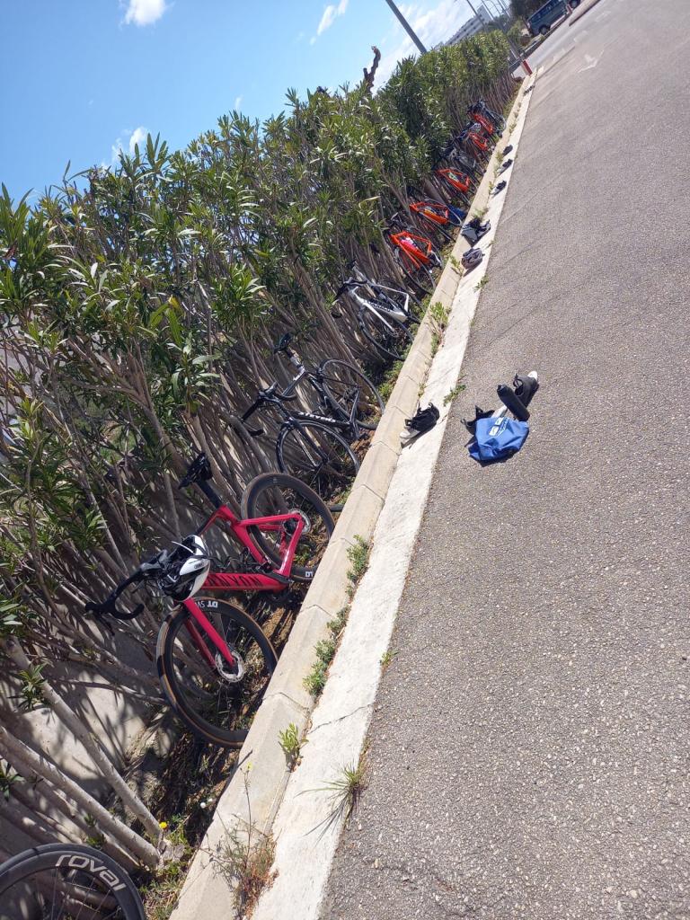 Mallorca29