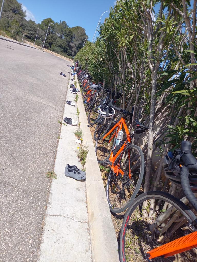 Mallorca23